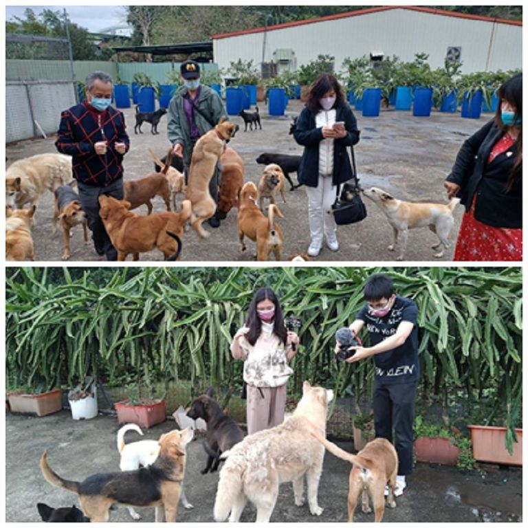 台灣照生會感謝善心大德廖老大捐贈40包狗糧　讓狗場中的狗狗能夠溫飽