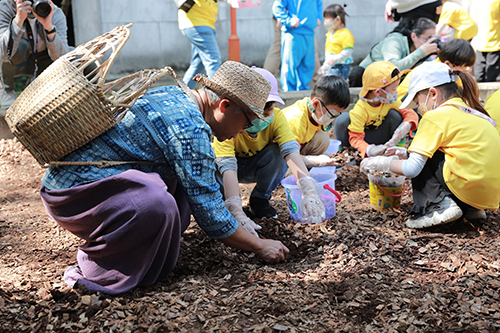 幫幼年獨角仙搬新家　新北議員結合地方護三峽生態資源