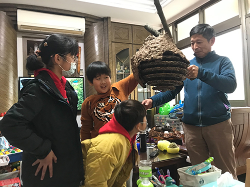 吃昆蟲減少碳足跡 穿戴異國服飾學禮儀 獲全國教案雙特優