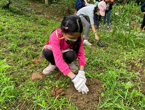 青潭種植千棵原生植物 親師生攜手齊心護家園