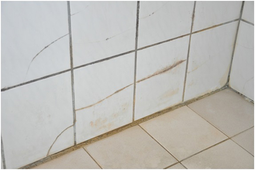 修繕前寢室淋浴間（衛生間）壁磚龜裂嚴重（102寢室）