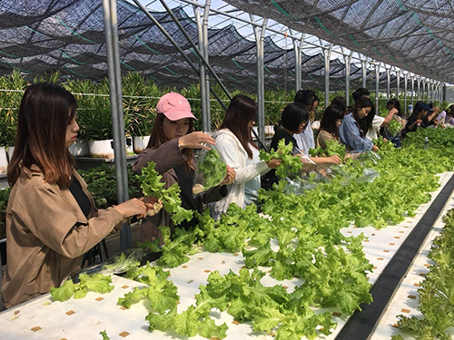 修平科技大學USR計畫結合服務學習帶領學生進入場域農作體驗，透過食農教育了解有機及友善農業
