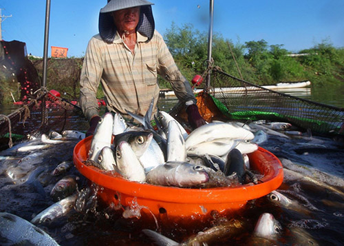 嘉義縣優質農漁產將於12月1-2日直送台北希望廣場