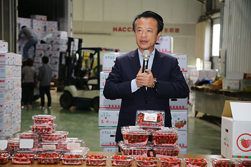拓展農產品國際市場 「好嘉」小番茄進軍香港