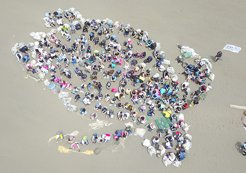 淨灘地民眾即拾獲的垃圾排列出海龜的地景，呼籲全民愛護環境