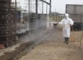 國內禽流感疫情頻傳，嘉義縣呼籲強化禽場安全