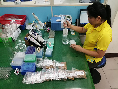 台東縣池上米殘毒檢驗合格率100％創紀錄