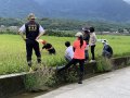 花蓮水稻「空包彈」 縣長徐榛蔚：已公告災害救助