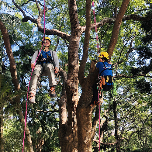 新北首創初任教師童軍體驗課程 當老師先挑戰搭帳、攀樹、結繩