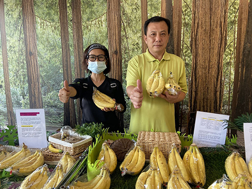 屏東香蕉快閃太平洋百貨成「蕉點」 多元行銷穩定收益
