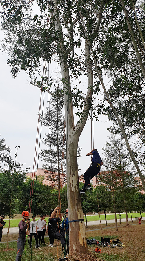 南華大學建景系舉辦攀樹體驗活動，學生參與踴躍。