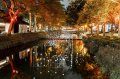 夜訪護城河看浪漫螢火蟲燈、煙火花 25日晚還有東門城聖誕音樂會