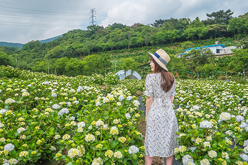 雙北世壯運高雄旅展暖身　新北館獻雙重驚喜