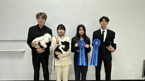 寵物造型設計實驗班學生於KCT檢定榮獲佳績　全數通過C級資格並勇奪「技術獎花」肯定