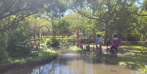 大安森林公園民眾樂踩活水飛輪健身 一兼二顧   活化水量達83座泳池