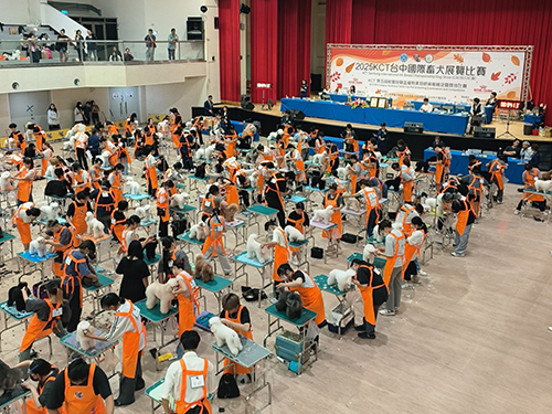 寵物造型設計實驗班　多場檢定屢創佳績展現專業實力