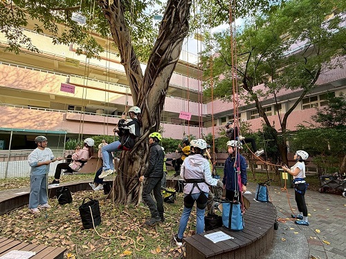 不只攀樹，更學會覺察〜民族實中把SEL帶上樹梢！