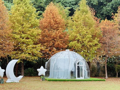 追雪不用上山！白雪花季來臨 7千坪落羽松森林免費入園再送500元餐券