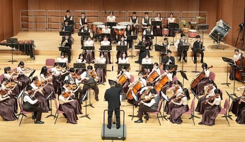 公告台北市115學年度國民中小學藝術才能班新生暨轉學生聯合招生簡章