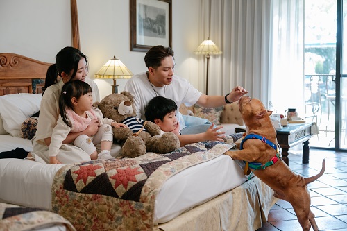 理想大地 2026 ATTA 台中與春季線上旅展開跑 預約一場縱谷平原間的春日邂逅 漫步於水岸 尋回感官的質感律動