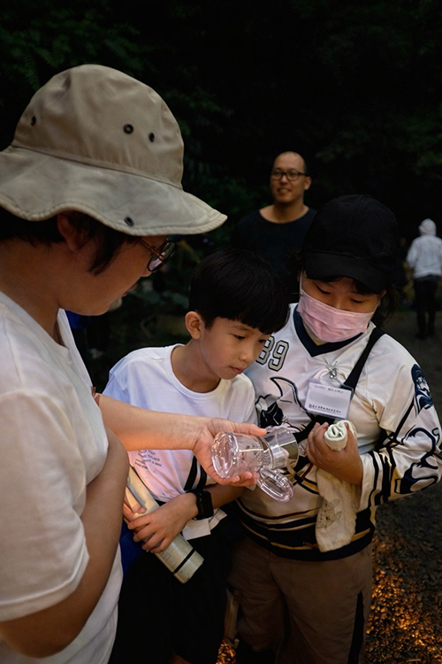賞螢趣～夜探馬明潭‧親子螢光小旅行
